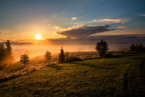 Sonnenaufgang auf Wiese / Unsplash.com / Dawid Zawiła Sonnenaufgang auf Wiese
