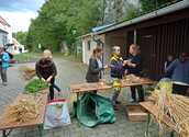 Erntedankkrone flechten Staatz