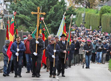 Diözesanmännerwallfahrt nach Klosterneuburg / Rochus Hetzendorfer Prozession