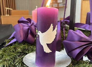 Friede / Katharina Thürriedl Friede