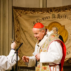 Festgottesdienst mit Kardinal Schönborn