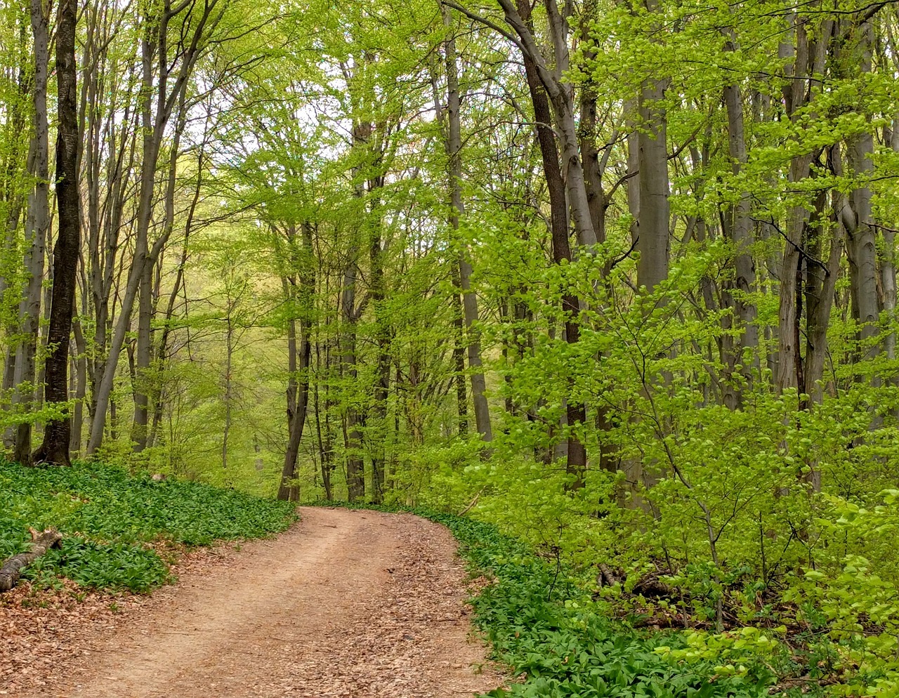 Wienerwald-Spaziergang