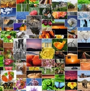 Lizenzfreie Fotos / Simon/Pixabay Lizenzfreie Fotos