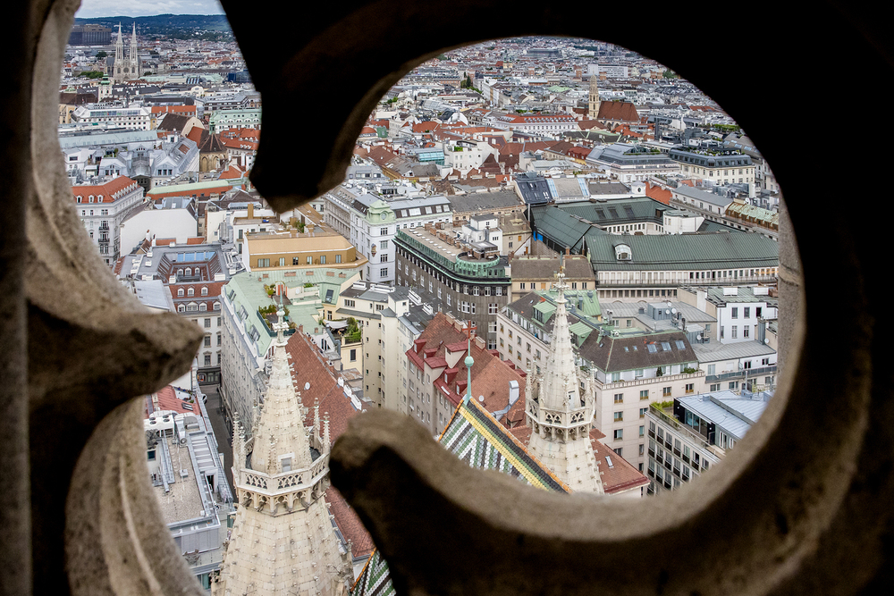 Erzdiözese Wien/ Schönlaub, Stephan Schönlaub