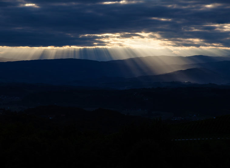 Gedanken von Kardinal Christoph Schönborn zum Evangelium am Sonntag, 15. Dezember 2019 (Mt 11,2-11)