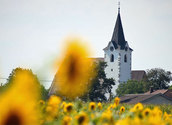 Sonnenblume und Kirche/bilderbox.com