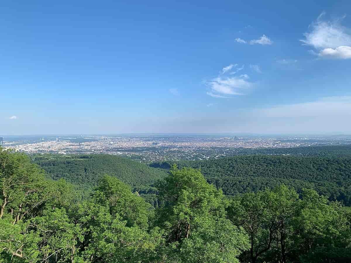 Wienerwald-Spaziergang