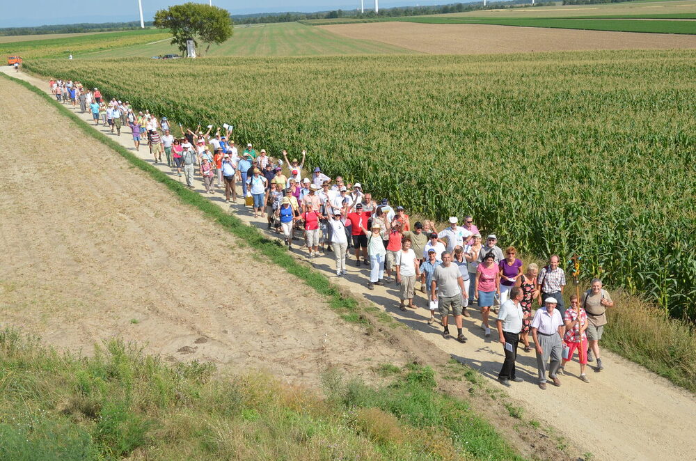 Bibelweg / www.markus-goestl.at, Markus Göstl Bibelweg Markgrafneusiedl - Erstbegehung am 9. August 2014