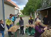 Erntedankkrone flechten Staatz