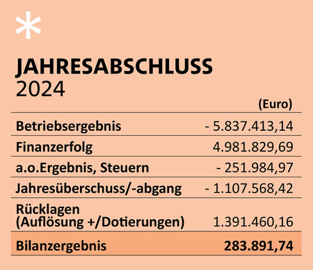 Jahresabschluss 2024 / EDW