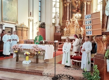 Vertretung / Manfred Bischof