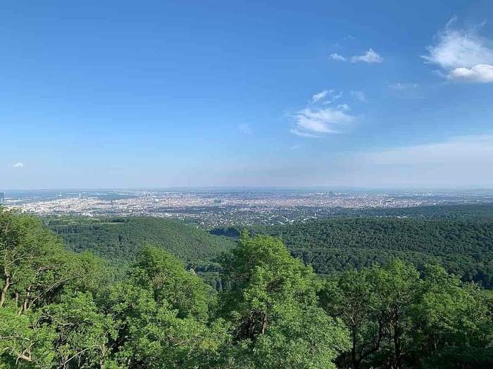 Wienerwald-Spaziergang